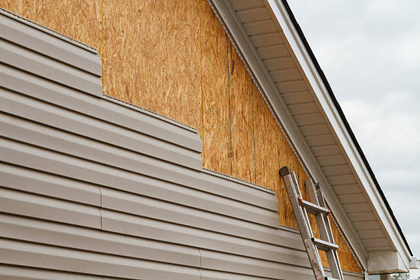 Professional Siding Inspection technician working in Alexandria, MN